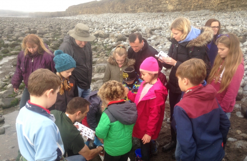 Beachcombers