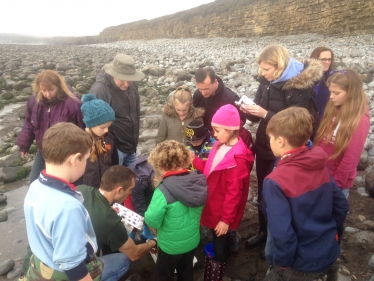 Beachcombers